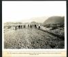 Six Companies Inc. employees aligning and oiling six miles of road down Hemenway Wash, toward the Upper Portals. 11/19/1931