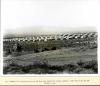 View of 300 two and three bedroom cottages for married employees. 10/05/31