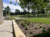 Landscaping east at the new plaza area outside of the Museum, June 3, 2026