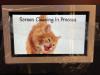 A playful image of a cat licking a screen captioned, "Screen Cleaning in Progress," May 27, 2026