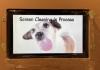 A playful image of a dog licking a screen captioned, "Screen Cleaning in Progress" May 13, 2026