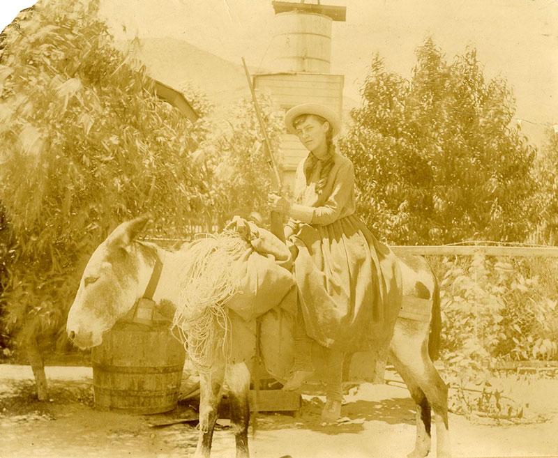 Lou Henry (family trip) on the way to camp from Mt. Gleason.  Acton CA, August 22, 1891. Lou really walked all the way, she sat on one of the park burrows for fun and was photographed.