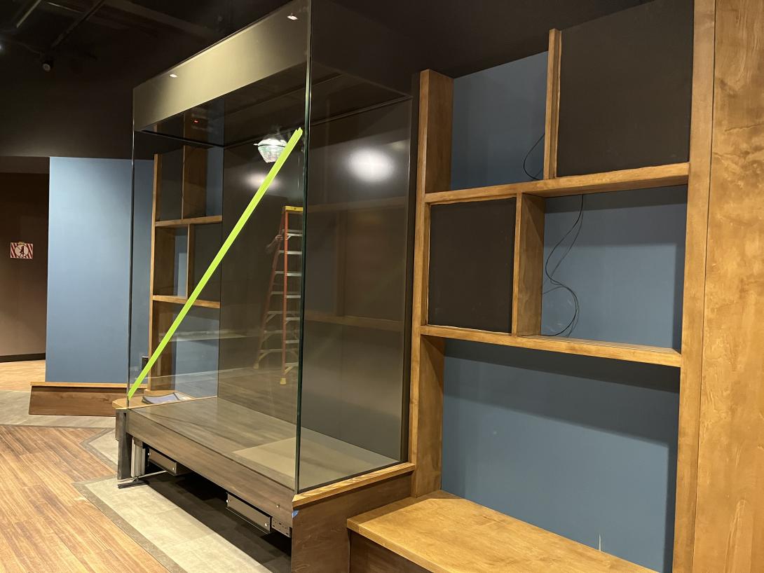 Display cases installed in the new "Life on the Jump" gallery, April 15, 2026
